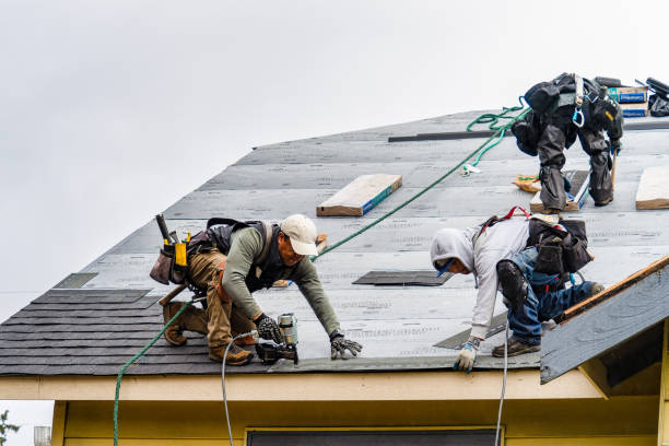 Professional Storm Damage Roof Repair technician working in Lawton, MI